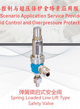 定制  弹簧微启式安全阀A61H