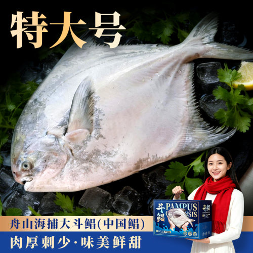 3斤特大号舟山斗鲳鱼礼盒