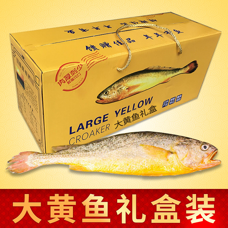 鲜生号深海大黄鱼海鲜高档礼盒送礼半野生深海黄花鱼宁波舟山特产