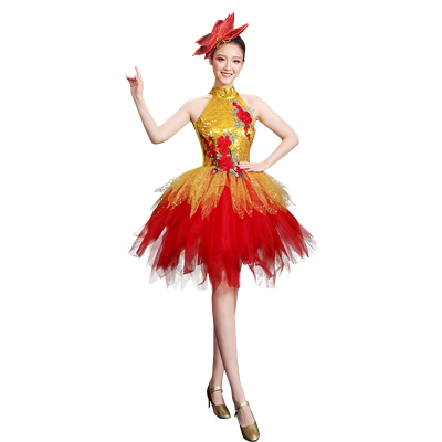 现代舞演出服青春活力亮片蓬蓬裙