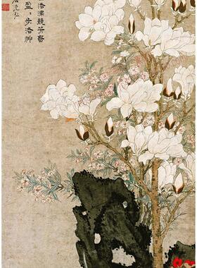 GBG12明孙克弘玉堂兰石图轴芝兰图135x59工笔花卉电子版图片素材