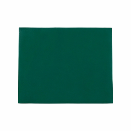 丽标(capelabel) BZ320mm*260mmG PVC标牌 320mm*260mm 1张/盒 （计价单位：张） 绿色