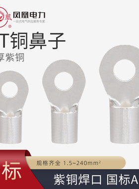 OT铜鼻子冷压接线端子紫铜加厚O型线鼻子圆形裸端子电线接头线耳