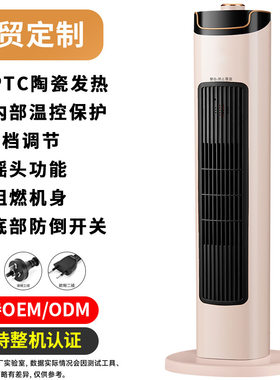 容声电暖跨境石墨烯取暖器家用暖风机冷暖两用立式节能省电热暖器