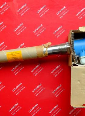 E+H FTM51-AGG2M4A12AA 恩德斯豪斯全新音叉物位计 FEM54