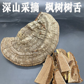枫树树舌250g枫树菌平盖灵芝深山老母菌新货海南枫树灵芝整枝林芝