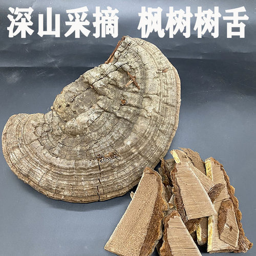 枫树树舌250g枫树菌平盖灵芝深山老母菌新货海南枫树灵芝整枝林芝