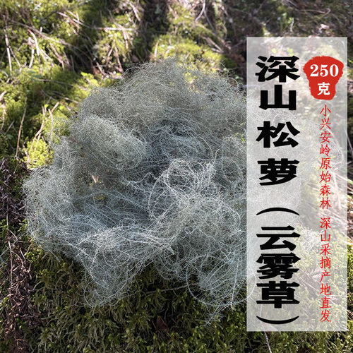 云雾草250g松萝 新货无硫深山采摘女萝松上寄生树挂树胡子老君须