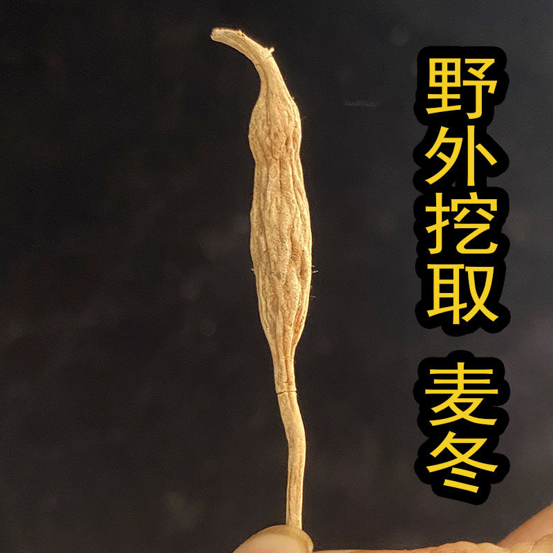 麦冬500g野外深山挖取泡水配黄芪五味子玉竹沙参干货煮水煲汤不熏