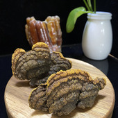 杨树桑黄250g去皮切块金边桑黄灵芝非500g非桑树桑黄东北真菌煮水