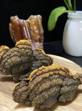 杨树桑黄250g去皮切块金边桑黄灵芝非500g非桑树桑黄东北真菌煮水