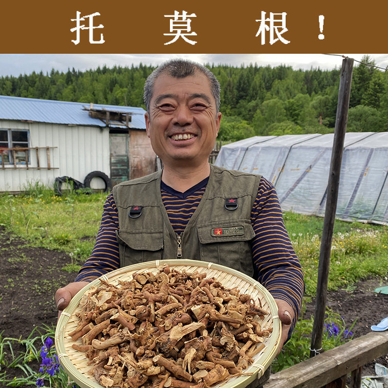 托莫根500g东北托摩根花草茶枣枸杞 - 实物图