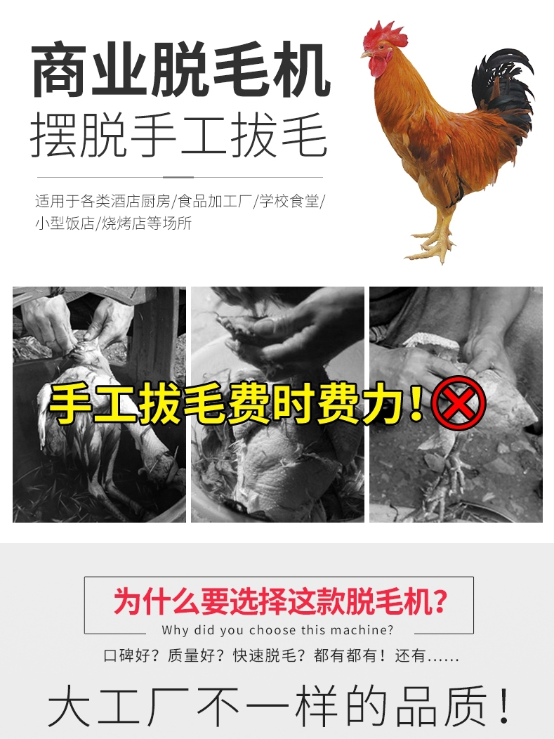 全自动杀鸡杀鸭烫毛脱毛一体机家用小型六轴家禽脱毛机恒温烫毛池