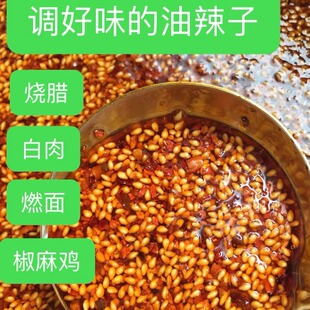 四川筠连传统手艺秘制油辣子调料 烧腊 椒麻鸡 燃面调好味500克