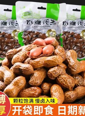 水煮花生带壳盐水卤味花生啤酒伴侣下酒菜夜市烧烤卤煮花生