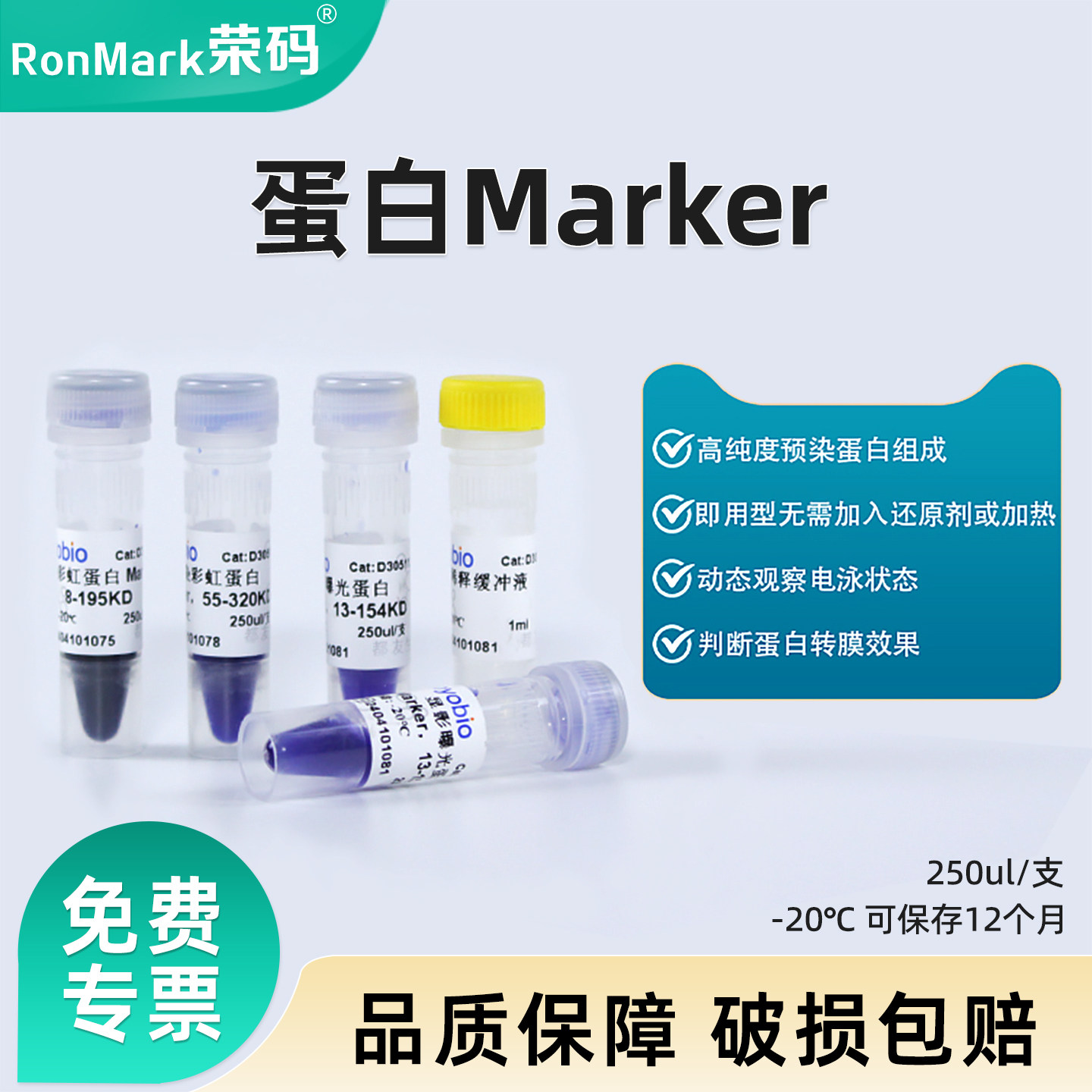 预染蛋白Marker彩虹条带高纯度图片