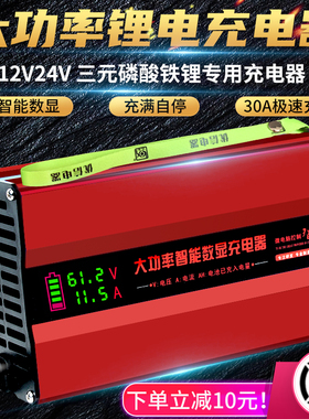 锂电池充电器12V24V20A三元铁锂电瓶14.6V29.2V29.4V伏洗地机叉车