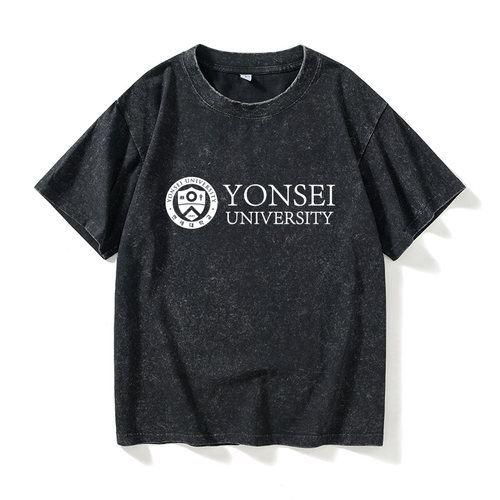 延世大学YonseiUniversity纪念