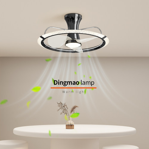 新款卧室智能变频风扇灯家用照明