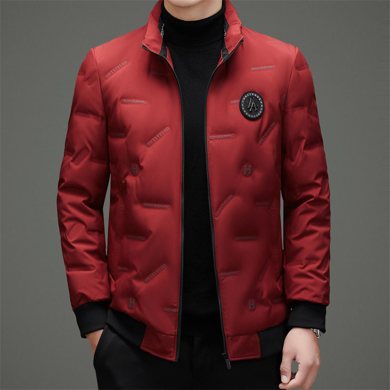 25年冬季男士商务立领白鸭绒羽绒服纯色羽绒外套XZ804/M6957P170,男装羽绒服,星座804（原QT730）
