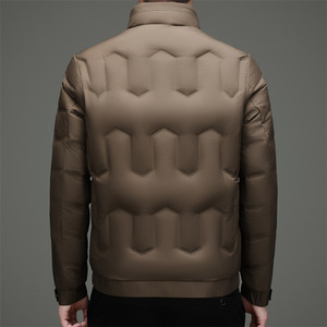 冬季新标90绒高充绒立领简约羽绒服XZ804/M6955P220图片