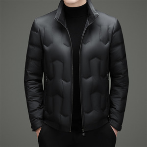 冬季新标90绒高充绒立领简约羽绒服XZ804/M6955P220图片