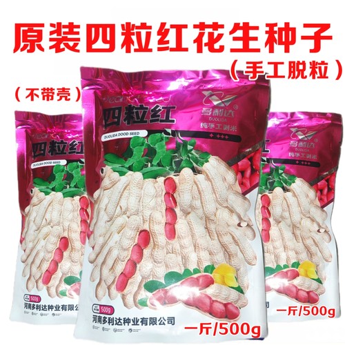 纯种四粒红花生种子（不带壳）高产红皮花生矮杆早熟抗病高产种籽