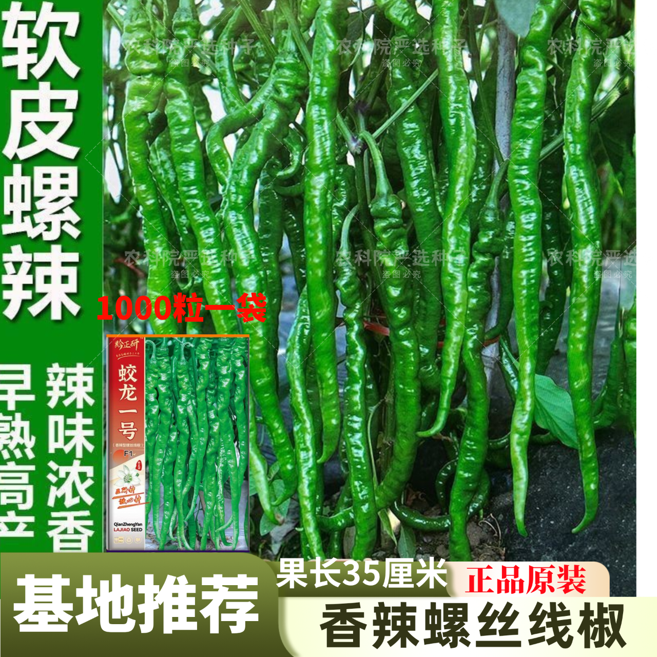 超长香辣螺丝线椒种子高产早熟香辣椒籽四季田园蔬菜种子耐热抗病,农用物资,蔬菜种子/种苗,淘宝优惠券,粉丝福利购,淘宝优惠卷