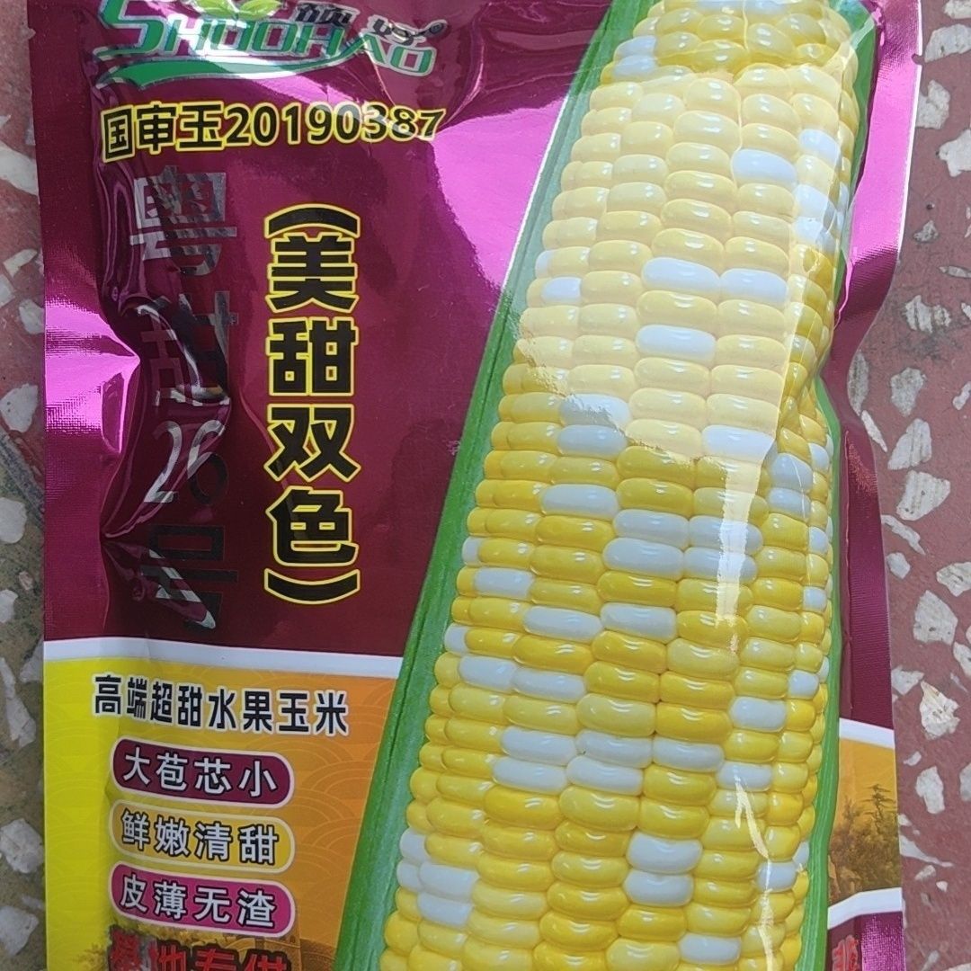 高端水果玉米种子粤甜26号超甜玉米种子皮薄无渣高产抗病金银双色