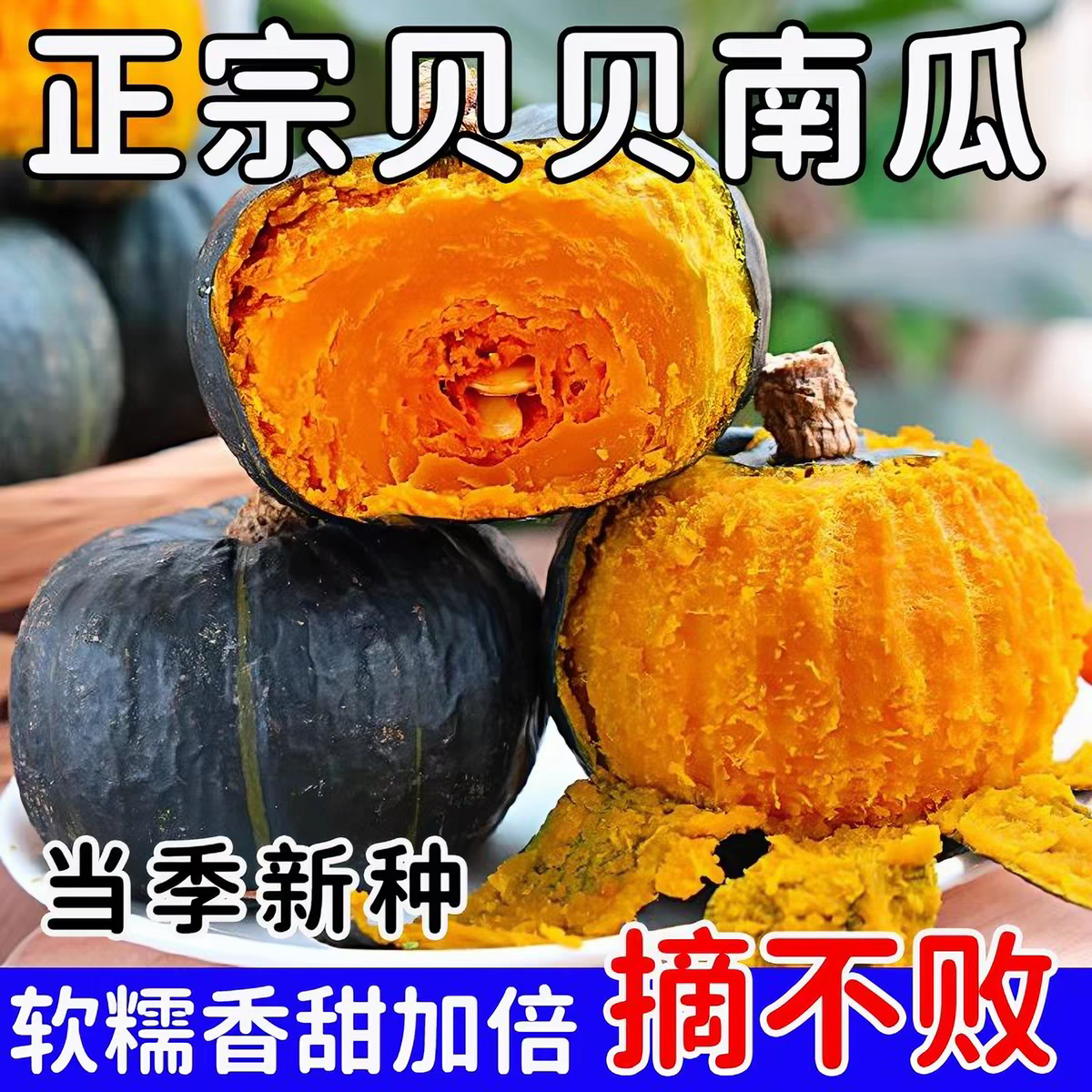 贝贝南瓜种子板栗味小南瓜种籽高家庭园艺种子