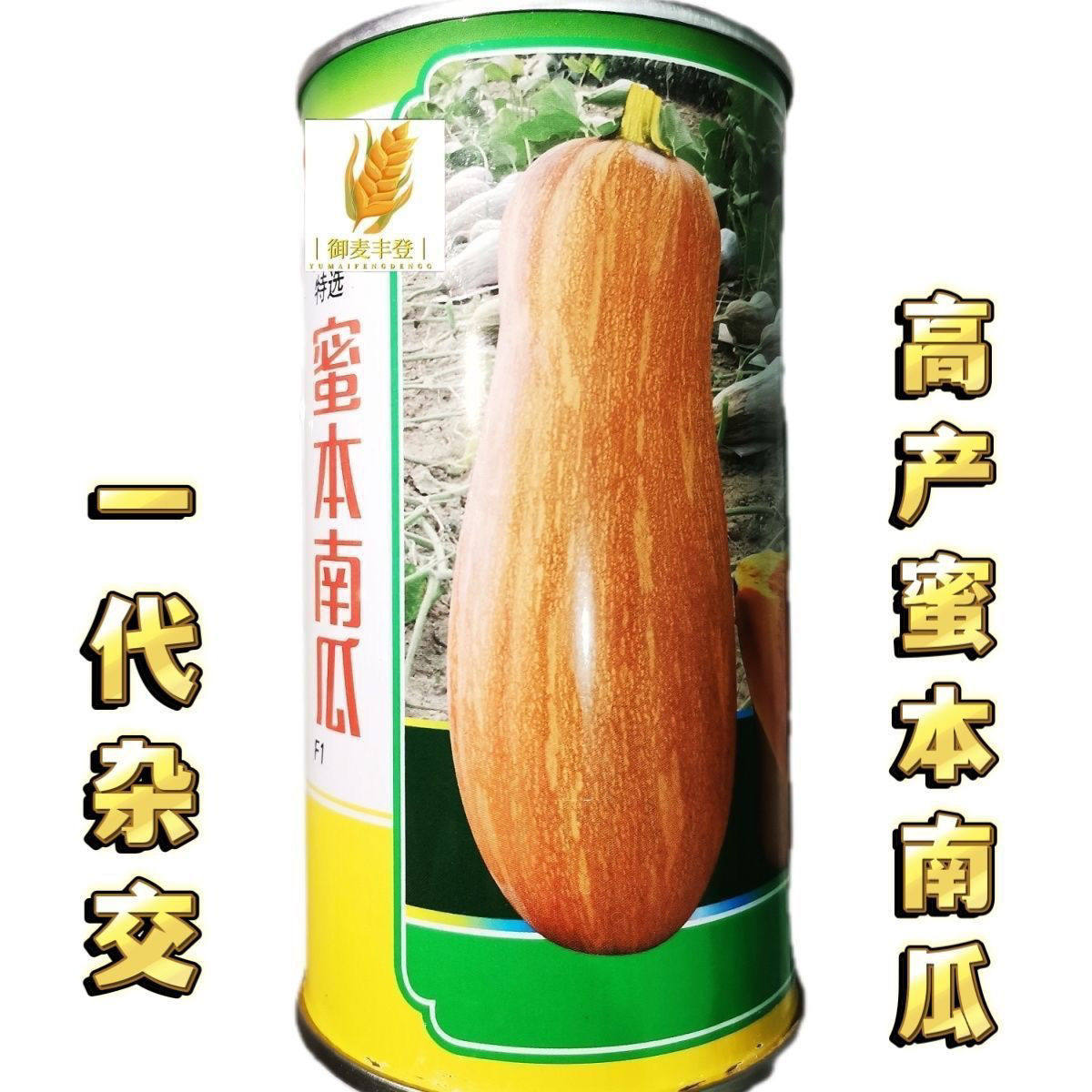 蜜本南瓜罐装种子
