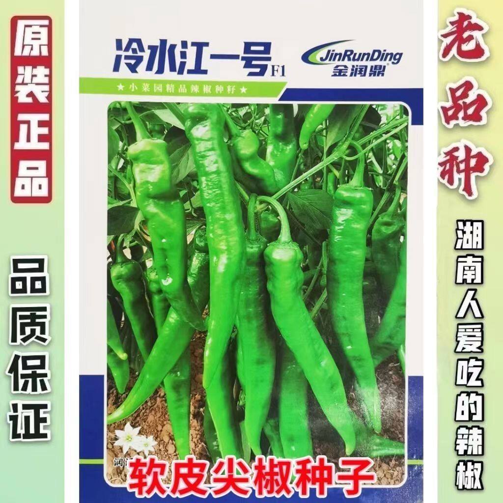 湖南本地辣椒种子早熟高产老品种辣椒种籽特香特辣软皮尖椒种子孑