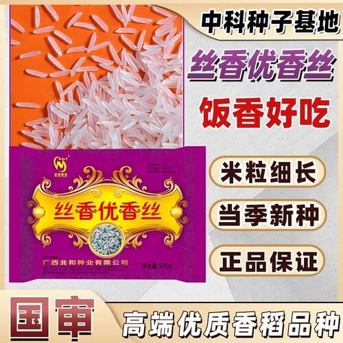 国审一级丝苗米种子 丝香优香丝 口感软香产量高优质稻谷长粒香米 - 封面