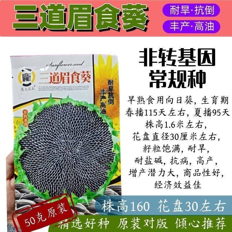 三道眉食葵种子非转基因大型食用向日葵种子大盘高产食用瓜子种子