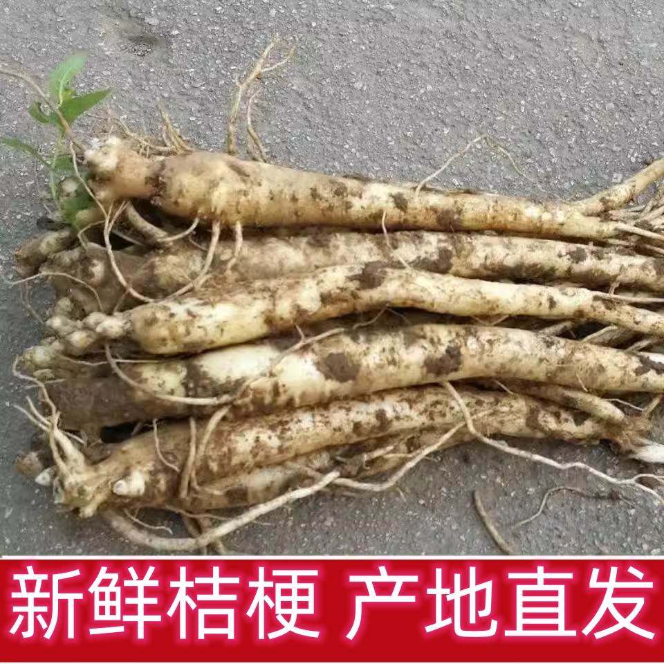 新鲜桔梗三年生桔梗500g伏牛山农家现挖原生态高海拔狗宝咸泡菜干,传统滋补营养品,桔梗,淘宝优惠券,粉丝福利购,淘宝优惠卷