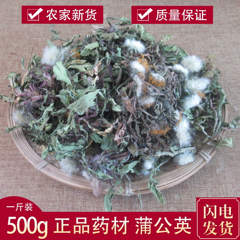 蒲公英茶野生整根干货图片