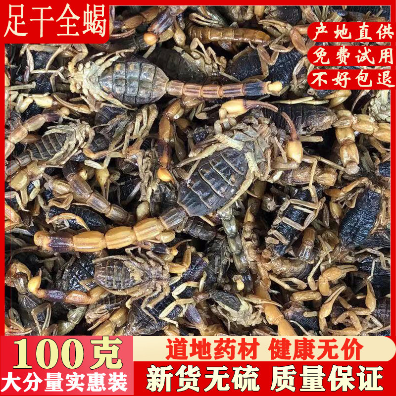 中药材全虫100克足干全蝎清水无盐全干蝎子可磨全蝎粉另有蜈蚣