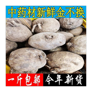 广西野生新鲜金不换中药材 独脚乌桕 石琴薯 山乌龟500克包邮