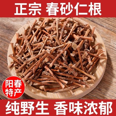 野生春砂仁根干货正宗阳春