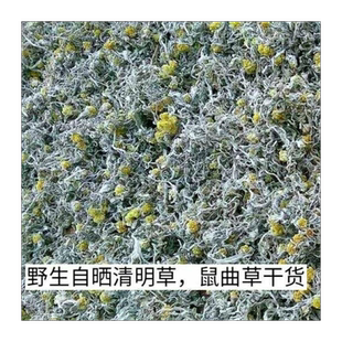 野生鼠曲草清明草绒毛草鼠鞠草棉菜青团清明粑田艾草软雀干品500g