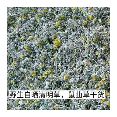 野生鼠曲草清明绒毛鞠棉菜青团