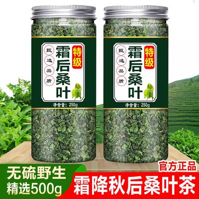 霜打过的干桑叶茶血压血糖正品