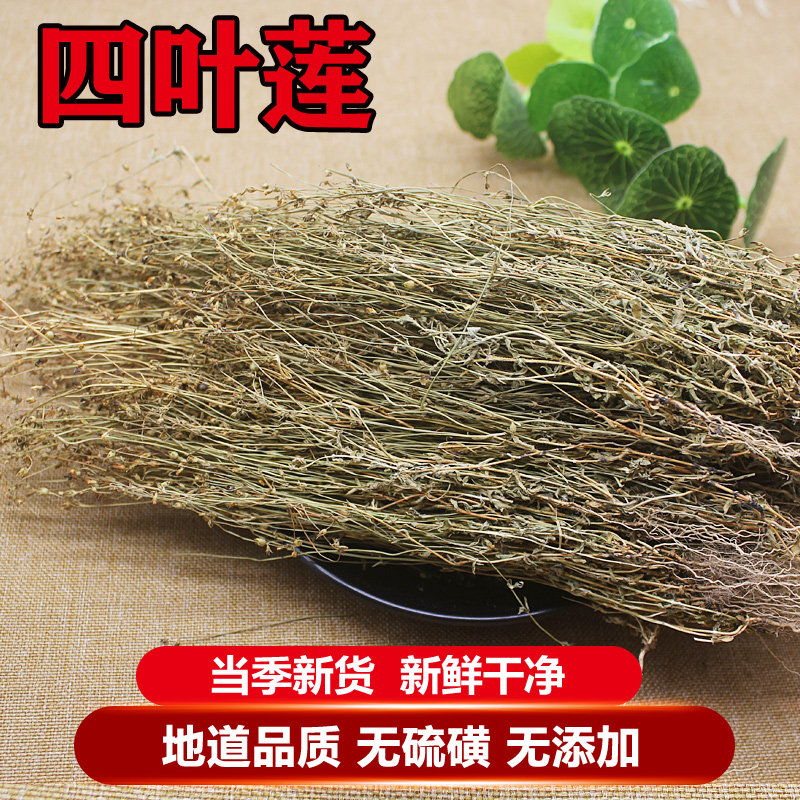 天然四叶莲中药材野生田字草 四叶菜 四叶苹 四合莲 天良草农产品