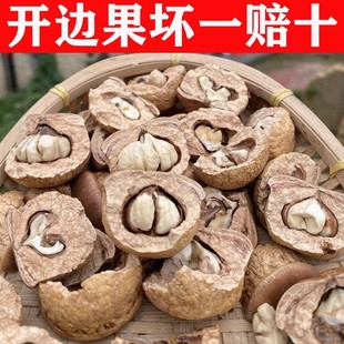 广西野生风流果新鲜现摘风流果正品天竺粒掉藤果厚鳞柯500g泡酒料