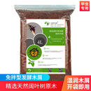 独角仙发酵木屑甲虫宠物活体幼虫锹甲饲料腐殖土产卵土深度木屑4L