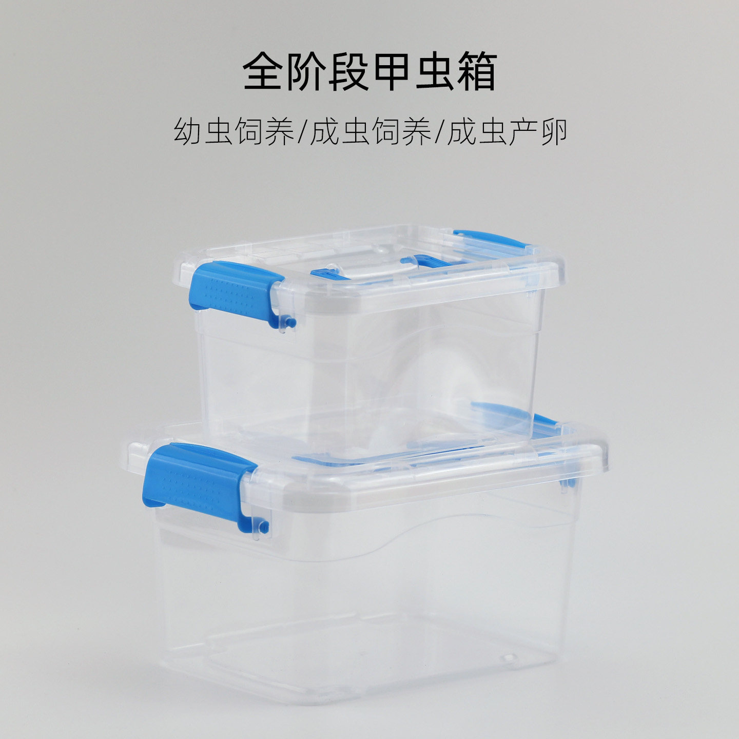 甲虫饲养箱独角仙幼虫成虫饲养盒图片