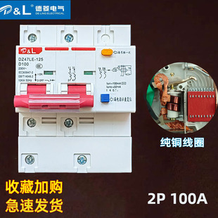 N断路器DZ47交流100A电闸 漏电保护器家用220v带空气开关漏保2P3P