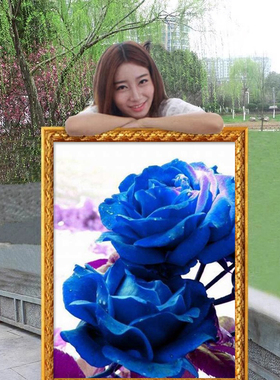 蓝色妖姬玫瑰花2026新款自己手工刺绣十字绣线绣客厅竖版玄关过道