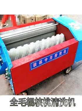 核桃脱皮机方便电动水洗一体大型分离耐用家用去皮机冲洗扒皮山桃