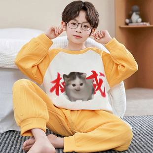 卡通权威男童睡衣2025新款空气棉夹层棉加厚男孩抽象搞笑猫家居服